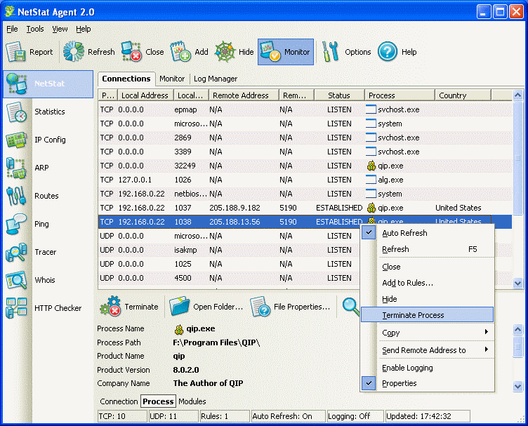 Screenshot of NetStat Agent